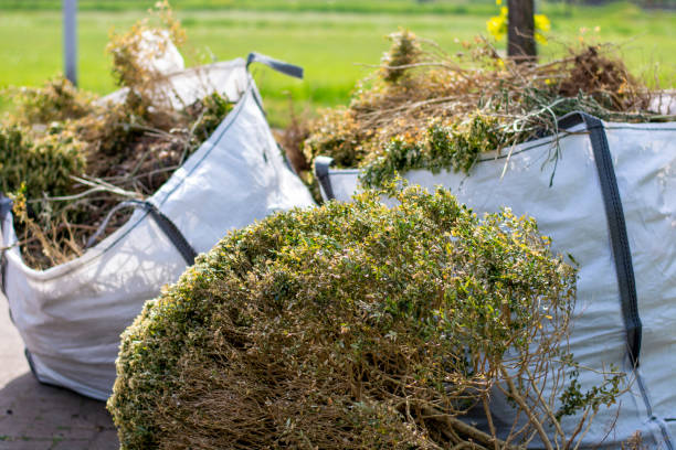 Best Residential Junk Removal  in Santa Rosa Valley, CA